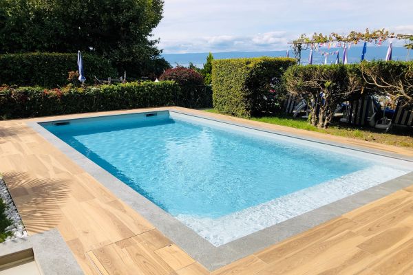 Hotel Les Cygnes (Evian-les-Bains)